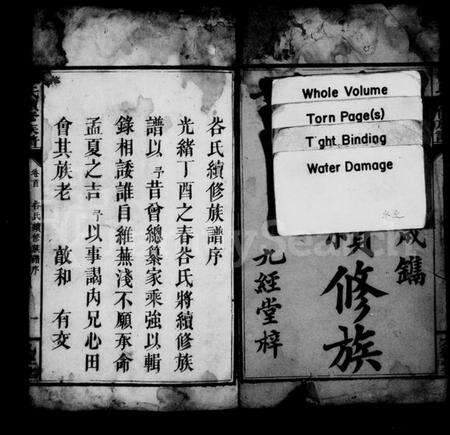 湖南谷氏族谱-谷氏续修族谱 [7卷,及卷首].pdf电子版预览图3