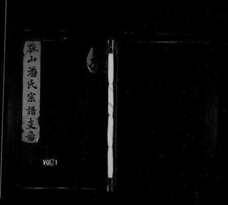 浙江潘氏族谱-孤山潘氏宗谱.pdf电子版缩略图