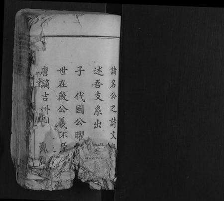 湖南郭氏族谱-大湄郭氏续修族谱[14卷首2卷].pdf电子版预览图1