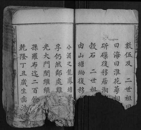 湖南郭氏族谱-大湄郭氏续修族谱[14卷首2卷].pdf电子版预览图4