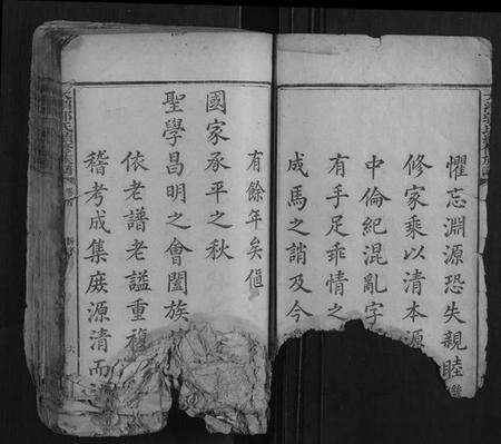 湖南郭氏族谱-大湄郭氏续修族谱[14卷首2卷].pdf电子版预览图5