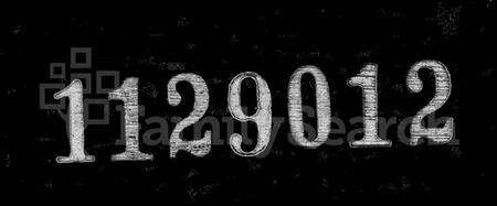 浙江施氏族谱-安吉施氏宗谱.pdf电子版缩略图