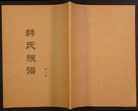 湖南韩氏族谱-韩氏族谱.pdf电子版缩略图