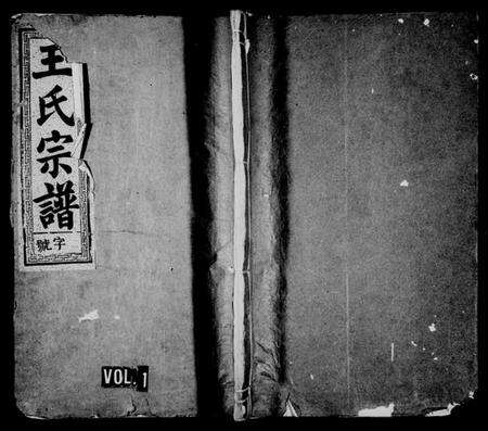 浙江王氏族谱-定阳王氏宗谱.pdf电子版预览图1