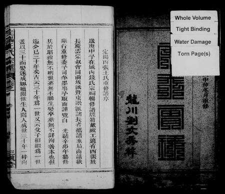 浙江王氏族谱-定阳王氏宗谱.pdf电子版预览图3