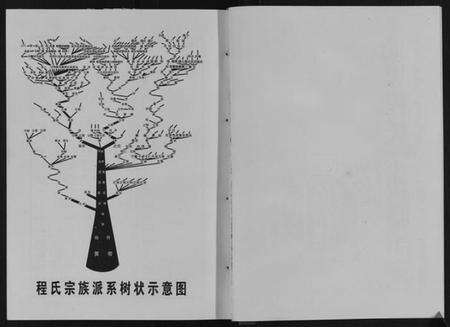 湖北程氏族谱-程氏宗谱.pdf电子版预览图2