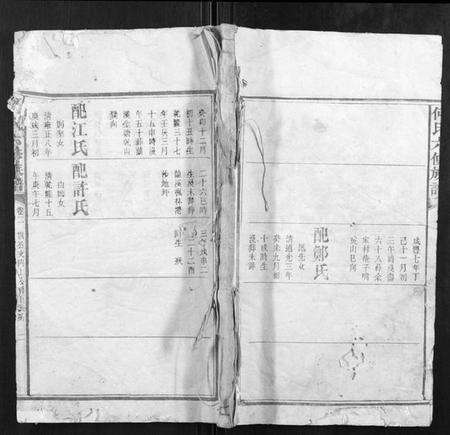 湖南何氏族谱-何氏六修族谱.pdf电子版缩略图