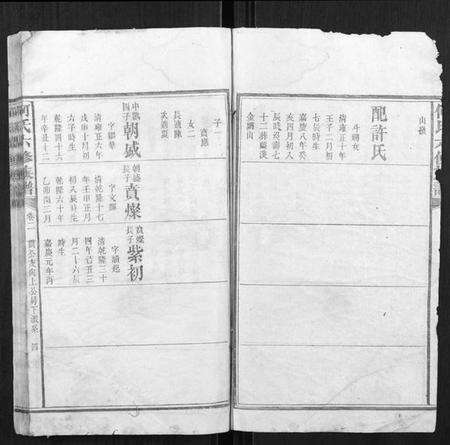 湖南何氏族谱-何氏六修族谱.pdf电子版预览图3