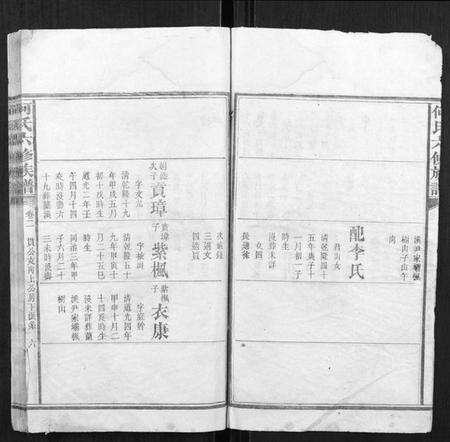 湖南何氏族谱-何氏六修族谱.pdf电子版预览图5