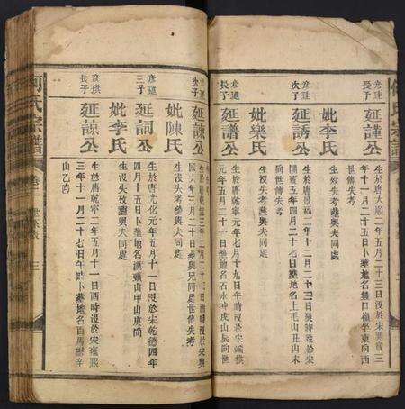 湖南何氏族谱-何氏宗谱.pdf电子版预览图3