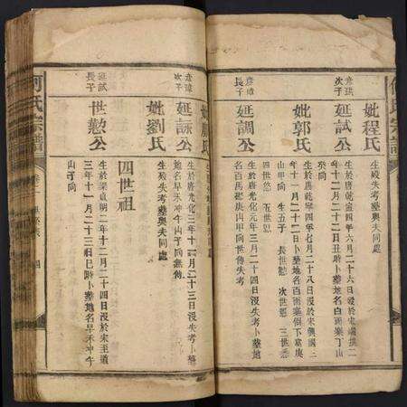 湖南何氏族谱-何氏宗谱.pdf电子版预览图4