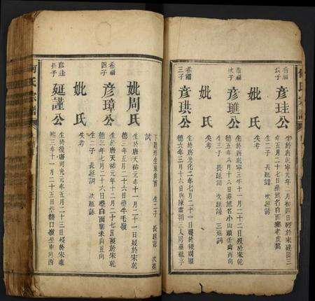 湖南何氏族谱-何氏宗谱.pdf电子版预览图2