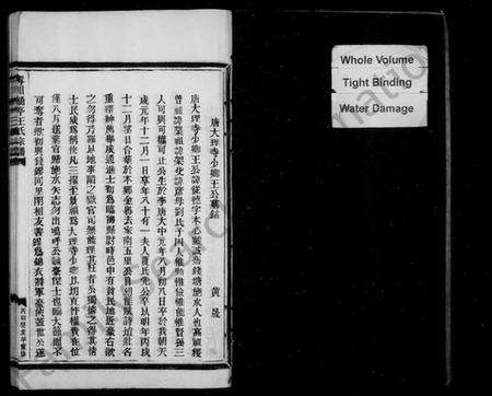 浙江王氏族谱-宁川桥亭王氏宗谱.pdf电子版预览图4