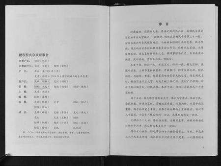 湖北程氏族谱-程氏宗谱[上下卷].pdf电子版预览图2