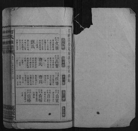 湖南何氏族谱-何氏族谱.pdf电子版预览图1