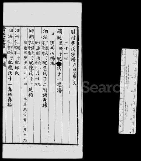 浙江费氏族谱-射村费氏宗谱.pdf电子版预览图1