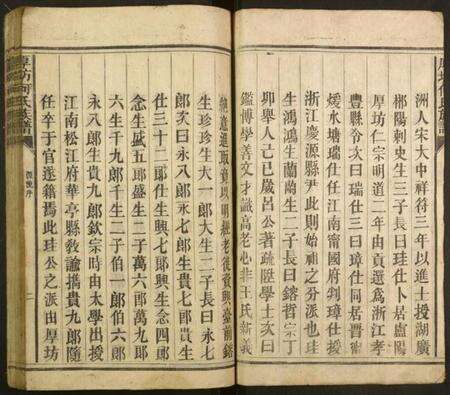 湖南何氏族谱-厚坊何氏族谱.pdf电子版预览图2