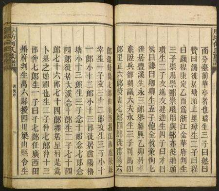 湖南何氏族谱-厚坊何氏族谱.pdf电子版预览图3