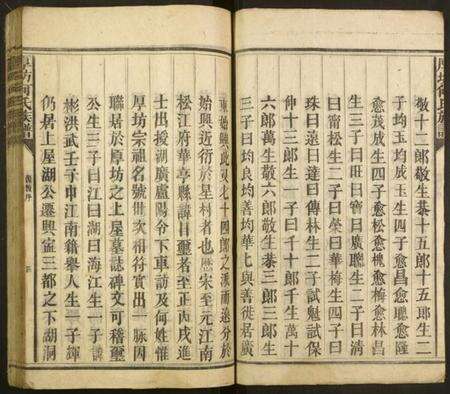 湖南何氏族谱-厚坊何氏族谱.pdf电子版预览图4