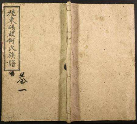 湖南何氏族谱-桂东何氏族谱.pdf电子版缩略图