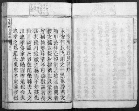 湖南何氏族谱-永安何氏族谱[10册].pdf电子版预览图4