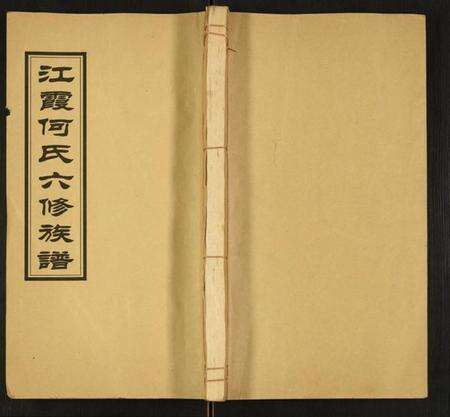 湖南何氏族谱-江霞何氏六修族谱.pdf电子版缩略图