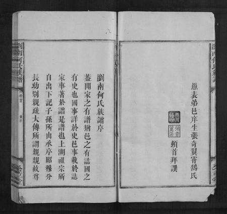 湖南何氏族谱-浏南何氏族谱[5卷,首1卷].pdf电子版预览图4