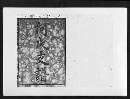 湖南何氏族谱-蛇觜子何氏五修支谱 [16卷].pdf电子版预览图1