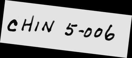 浙江胡氏族谱-山阴张川胡氏宗谱 [26卷,首1卷].pdf电子版预览图2