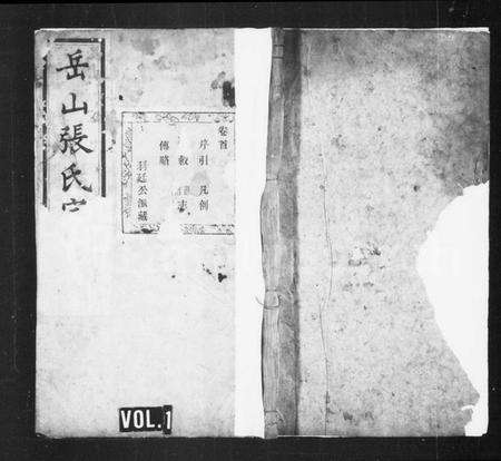 浙江张氏族谱-岳山张氏宗谱 [不全].pdf电子版预览图1