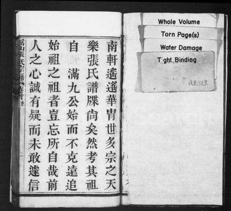 浙江张氏族谱-岳山张氏宗谱 [不全].pdf电子版预览图3