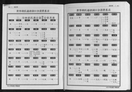 湖南胡氏族谱-世界胡氏通谱洞口分谱[3卷].pdf电子版预览图4