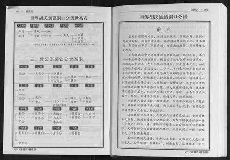 湖南胡氏族谱-世界胡氏通谱洞口分谱[3卷].pdf电子版预览图5