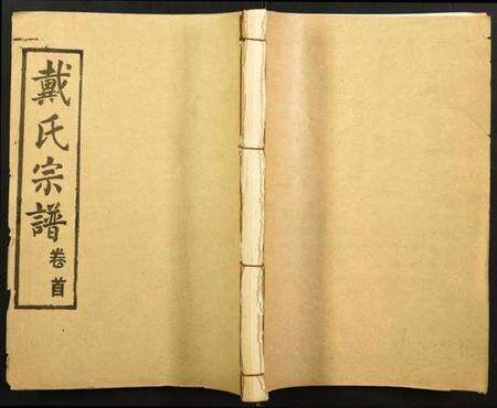 湖北戴氏族谱-戴氏宗谱.pdf电子版缩略图