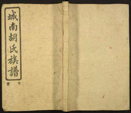 湖南胡氏族谱-城南胡氏族谱.pdf电子版缩略图