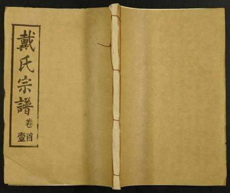 湖北戴氏族谱-戴氏宗谱.pdf电子版缩略图