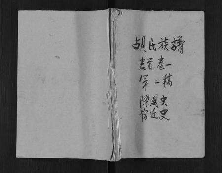 湖南胡氏族谱-安定胡氏族谱[15卷,首1卷].pdf电子版缩略图