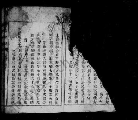 江西邓氏族谱-邓氏族谱 [6卷].pdf电子版预览图3