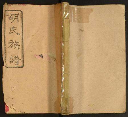 湖南胡氏族谱-沅江胡氏族谱.pdf电子版缩略图