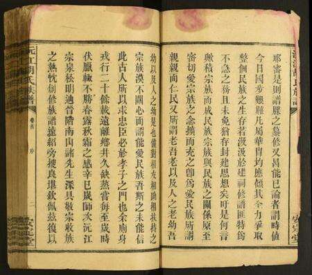 湖南胡氏族谱-沅江胡氏族谱.pdf电子版预览图2