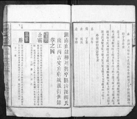 湖南胡氏族谱-清溪胡氏族谱[12卷].pdf电子版预览图5