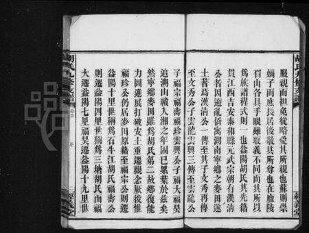 湖南胡氏族谱-胡氏九修支谱 [8卷,及卷首末].pdf电子版预览图4