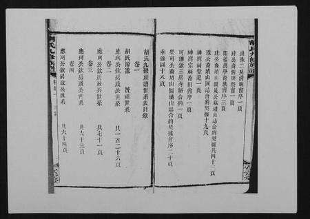 湖南胡氏族谱-胡氏九修族谱.pdf电子版预览图5