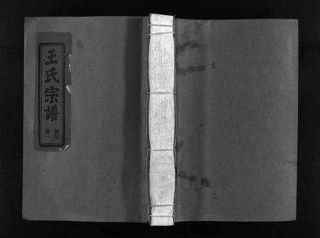 浙江王氏族谱-左原王氏宗谱 [14卷].pdf电子版预览图1