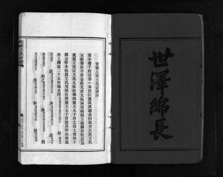 浙江王氏族谱-左原王氏宗谱 [14卷].pdf电子版预览图3