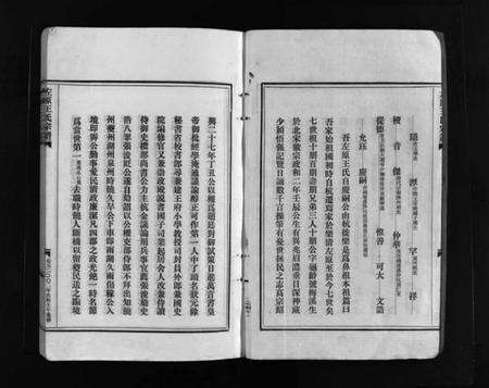 浙江王氏族谱-左原王氏宗谱 [14卷].pdf电子版预览图4