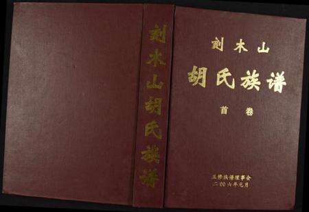 湖南胡氏族谱-胡氏族谱.pdf电子版缩略图