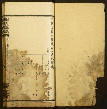 湖南胡氏族谱-胡氏族谱.pdf电子版预览图1