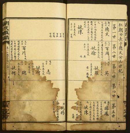 湖南胡氏族谱-胡氏族谱.pdf电子版预览图2