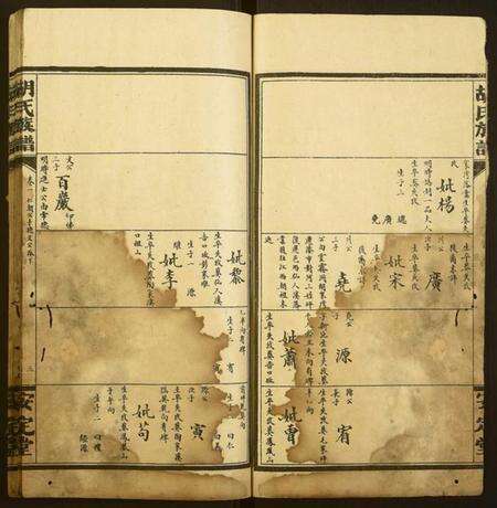 湖南胡氏族谱-胡氏族谱.pdf电子版预览图3